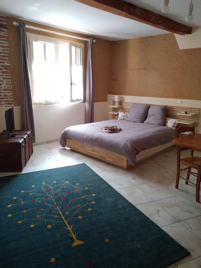 Au Coeur De Montastruc-La-Conseillere - Chambres D'Hotes Екстериор снимка